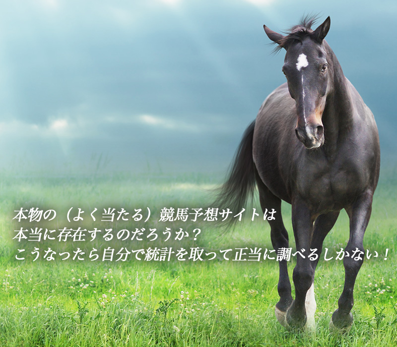 本物の競馬予想サイトをガチで検証する『競馬サーチ』 イメージ2